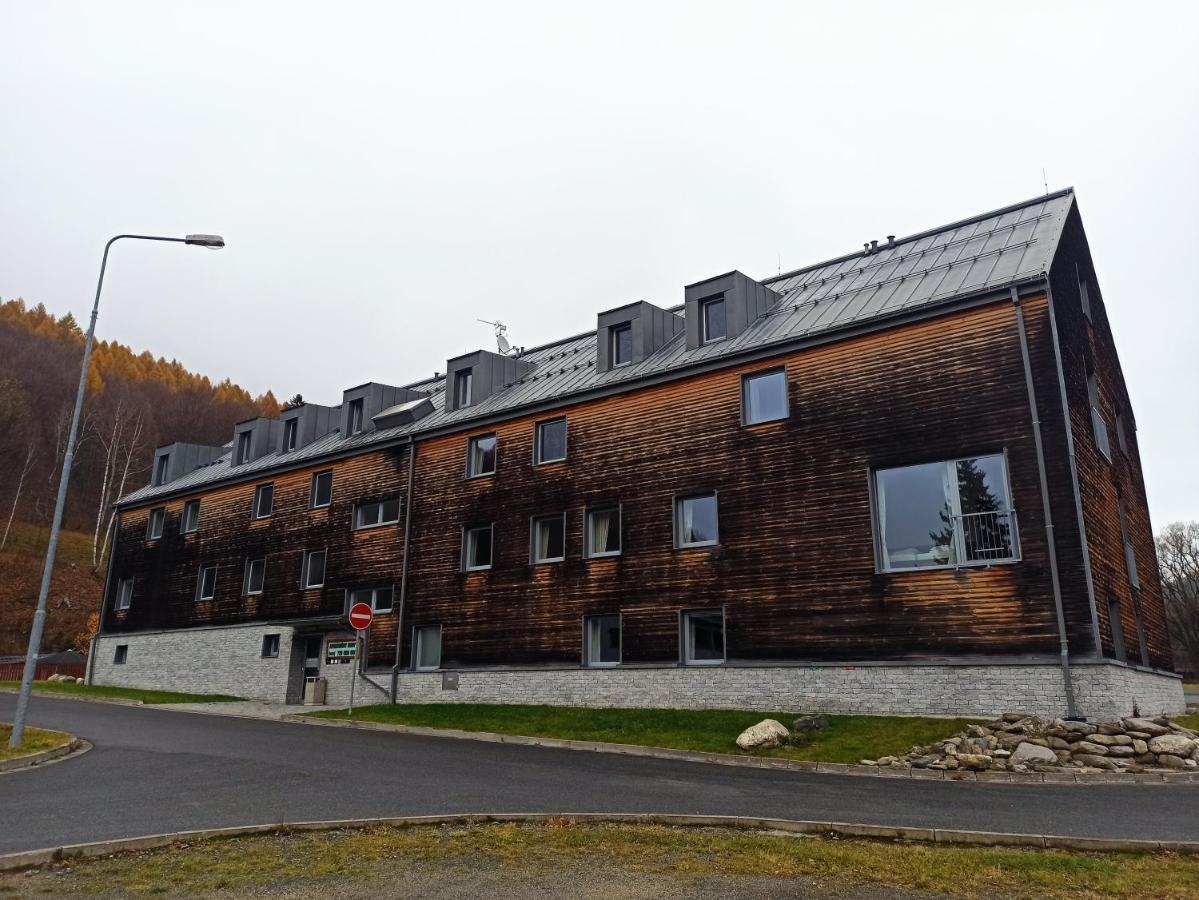 Apartamento Mezonetový Apartmán Kouty nad Desnou Loučná nad Desnou Exterior foto